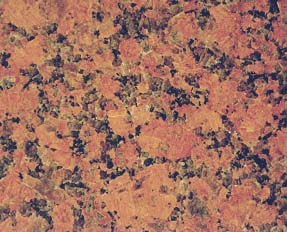 A Stone Honored Elder
